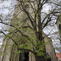 Stadtkirche
