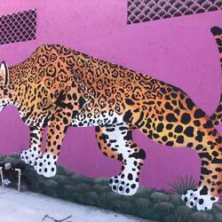 Pretty murals in México