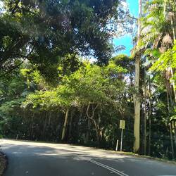 Road to Mount Tamborine