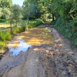 Ooooh, at last! Haven't seen you for ages my water puddle