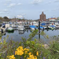 Blick in den Hafen