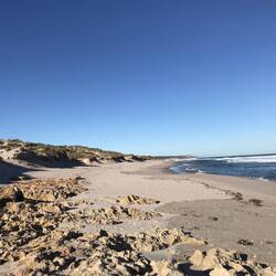 Shell Combing