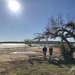 Leaning Tree