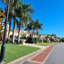 Magnolia Drive
