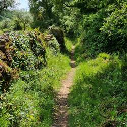 Tiny paths along fields and stone walls