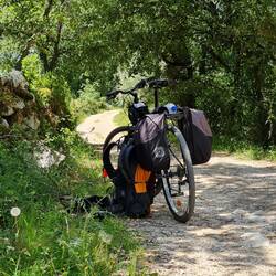 A small snooze in the shade of an olive tree