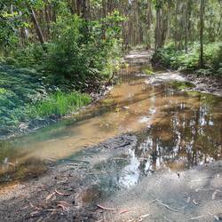 Paths covered in water and mud
