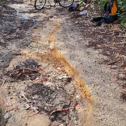 A final what I feared most, a wipe-out.