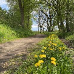 Schöne Wanderwege