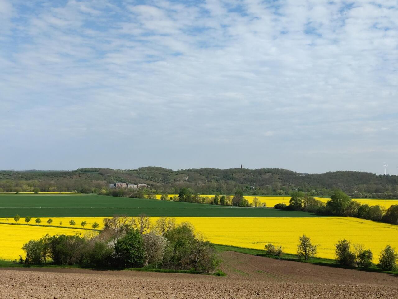 Blick auf das Saaletal