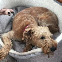 Mum, I'm so tired I can't move!