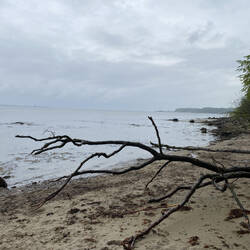 Am Strand