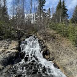 One of the many snow-melt waterfalls we saw today ... on the way to Hope, AK.