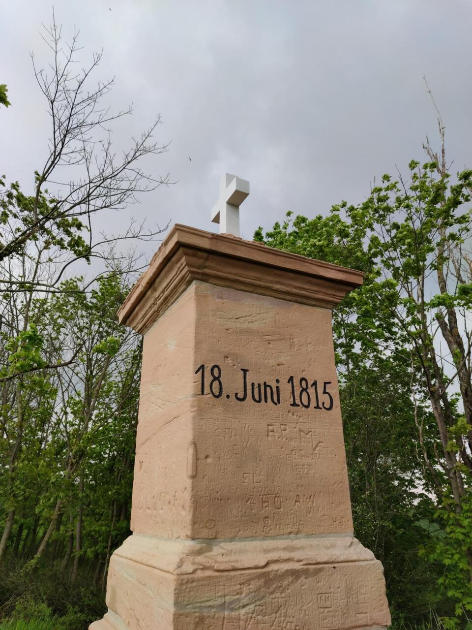 Napoleon Stein
