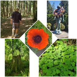 Strolling Downtown Sandy and Meinig Park