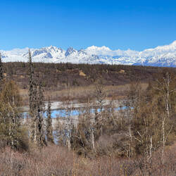 Denali in its full majesty ... with its Alaska Range Cohorts — Denali State Park, AK.