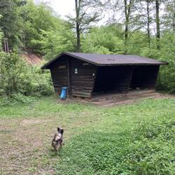 Friedrichhütte, vier Abteile, Coronaconform?