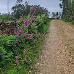 Oh yes, there was also a bit of beauty on the wayside