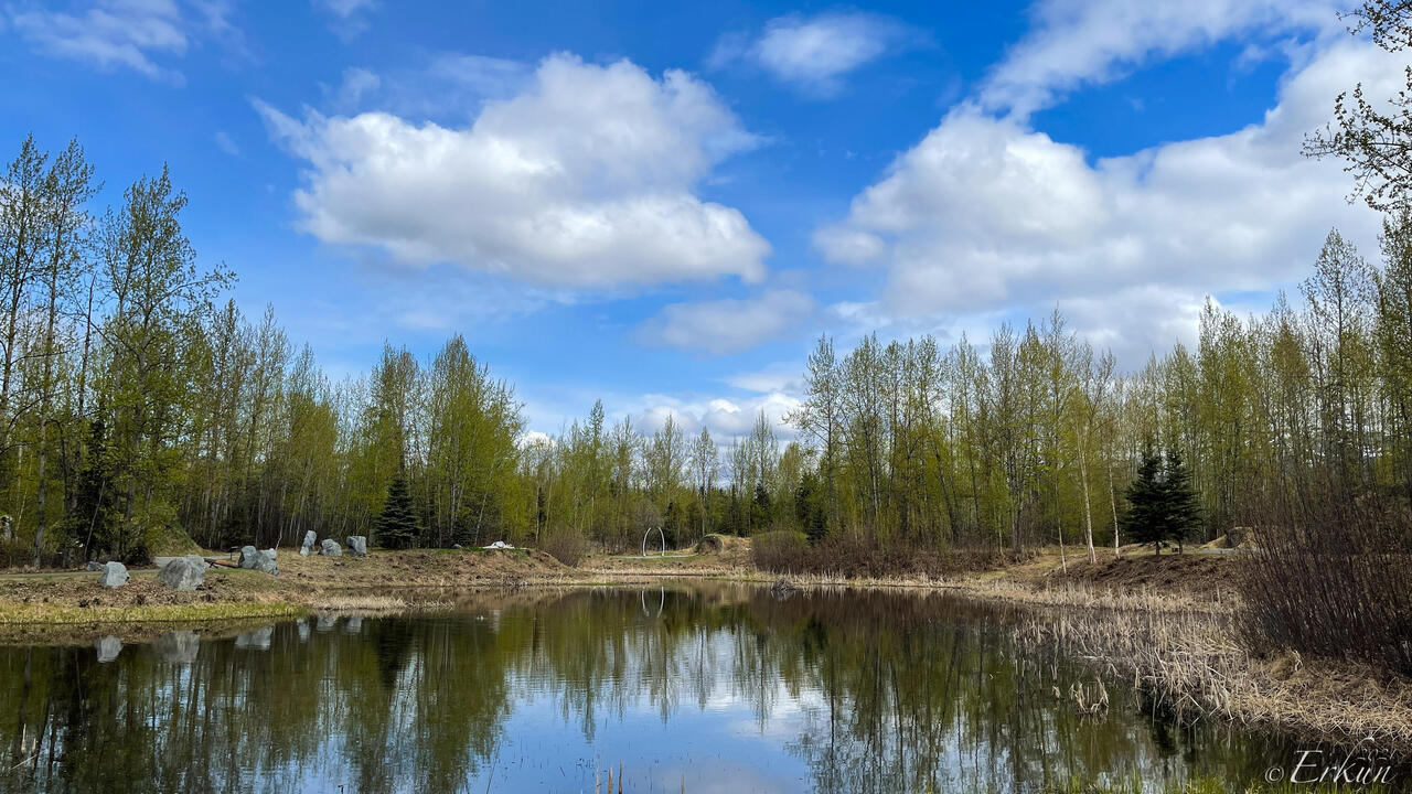 Looking across Lake Tiluana — ANHC in Anchorage, AK.