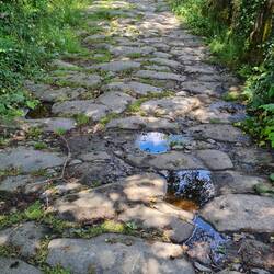 Old roman path and bridge leading to "Casa do Fernenda"