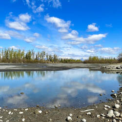 Knik River @ Eklutna Tailrace — Old Glenn Hwy ... Palmer, AK.
