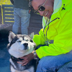 Mui enjoying the company of Molly, the Siberian Husky — Knik Glacier Tour, AK.