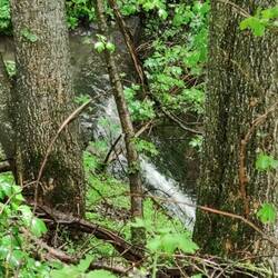 Wasserfall
