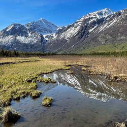 Reflections to double our pleasure — Eagle River Nature Center, AK.