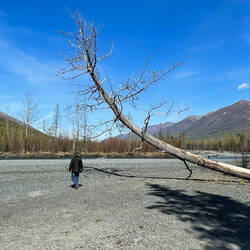 Gravel Bar along Eagle River ... Albert Loop Trail — Eagle River Nature Center, AK.