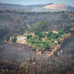 The dramatic picture of the Quinta that didn't burn because of mixed forests