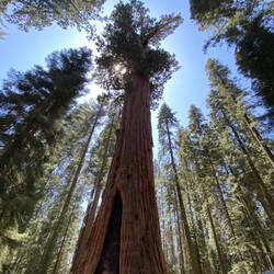 Look at the people on the left bottom corner.