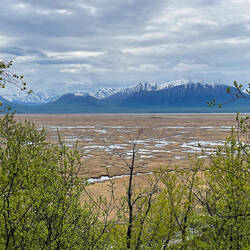 Not a critter in sight — Palmer Hay Flats SGR, AK.