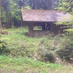 1. Nachtquartier im Schwarzwald