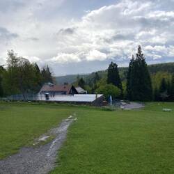 Grünhütte