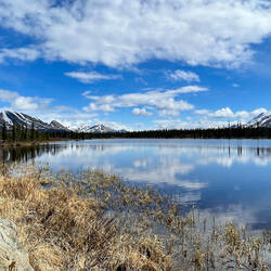 The view towards the far end of the lake ... Joe Lake, Denali Hwy, AK.