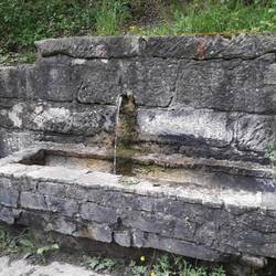 Heute gibt es Wasser im Überfluß