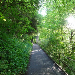 Letzter Anstieg zum Schloss Hohentübingen