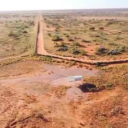 Famous dog Fence & Corner Store.