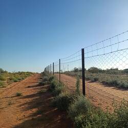 Dog Fence seperating SA and NSW