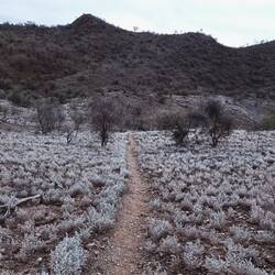 Reminds me of walking through snow