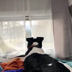 Finally I have a window to look out from.