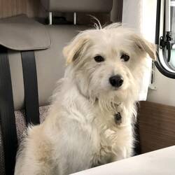 Ich weiß noch nicht was ich von diesem zweiten zu Hause denken soll.