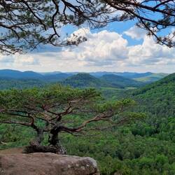 Some nice views today - have to say thanks for the pic to Jessi!