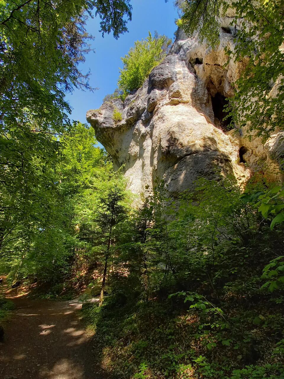 Kletterwand "Hohe Nase"
