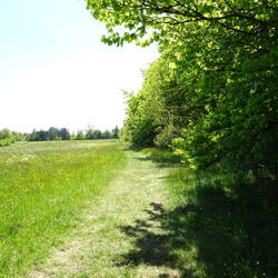 Hinter der Böschung ist die Hangkante