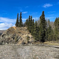 We climbed up to the halfway point of this rock on the Teklanika River gravel bar to ...