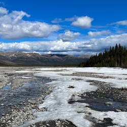 Such a brilliant day on the Teklanika River gravel bar — Denali NP, AK.