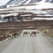 Caribou crossing the road to join the herd — Park Road ... Denali NP, AK.