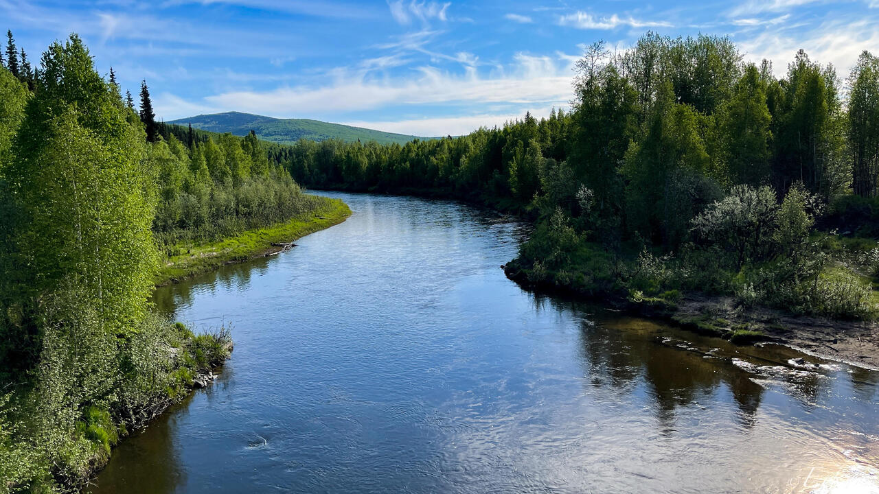 Chatanika River from the bridge — Elliott Hwy, AK.