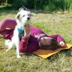 Mit Yoga geht alles besser. Die Hunde sind immer gerne dabei und möglichst mit auf der Matte.